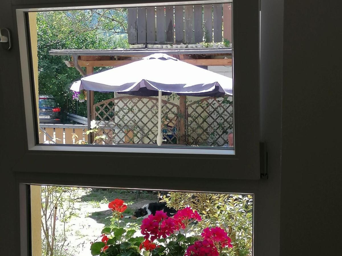 Jogis Ferienwohnungen Freiburg im Breisgau Dış mekan fotoğraf